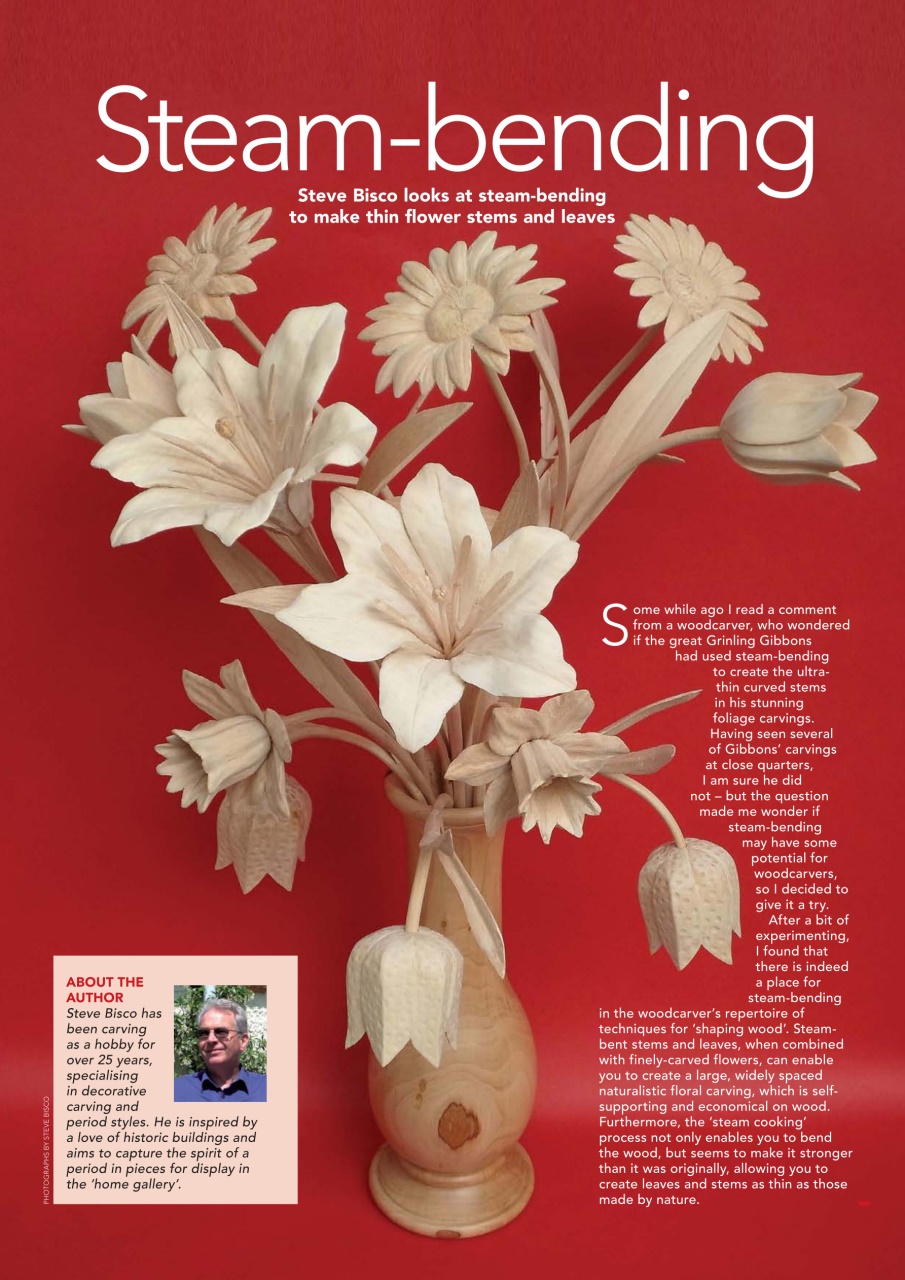 Woodcarving Preview Pages