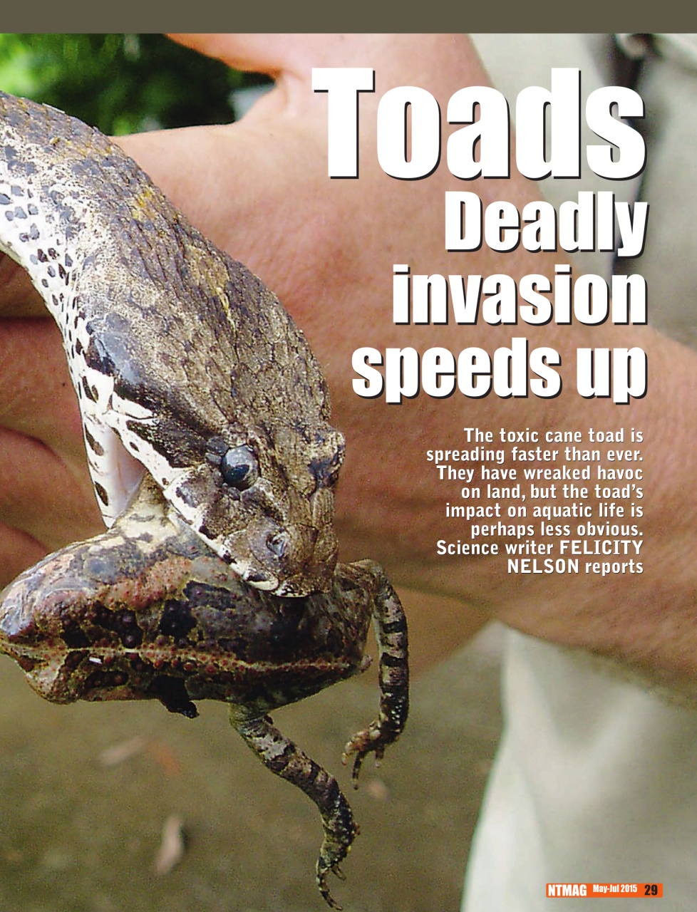 North Australian Fishing and Outdoors Magazine Preview Pages