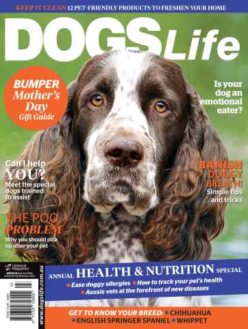 Dogs Life issue May/June Issue#131