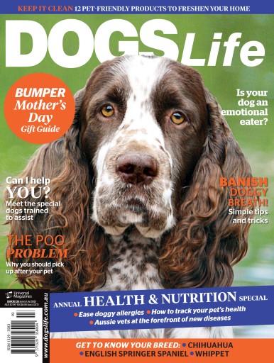 Dogs Life issue 
