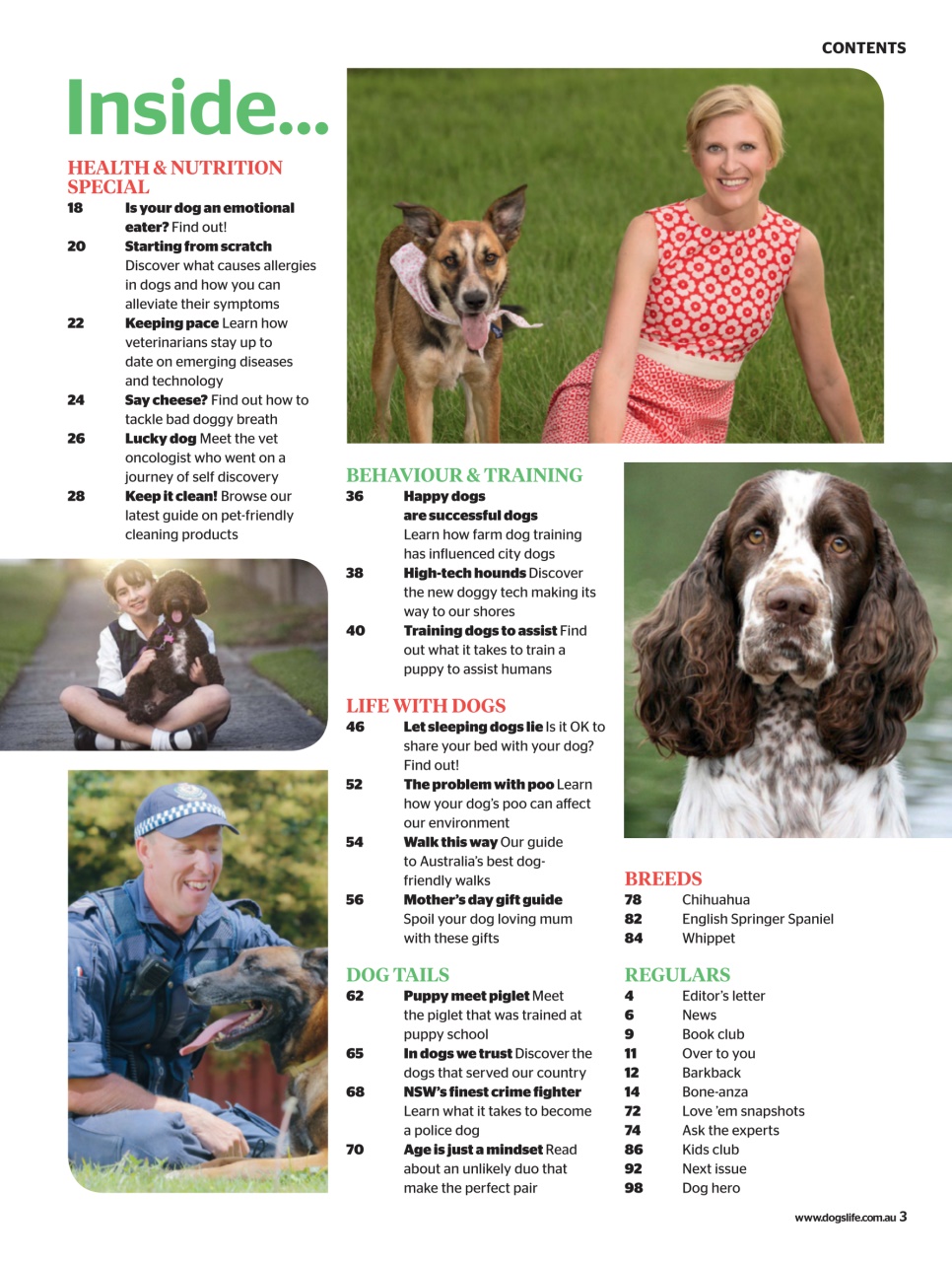 Dogs Life Preview Pages