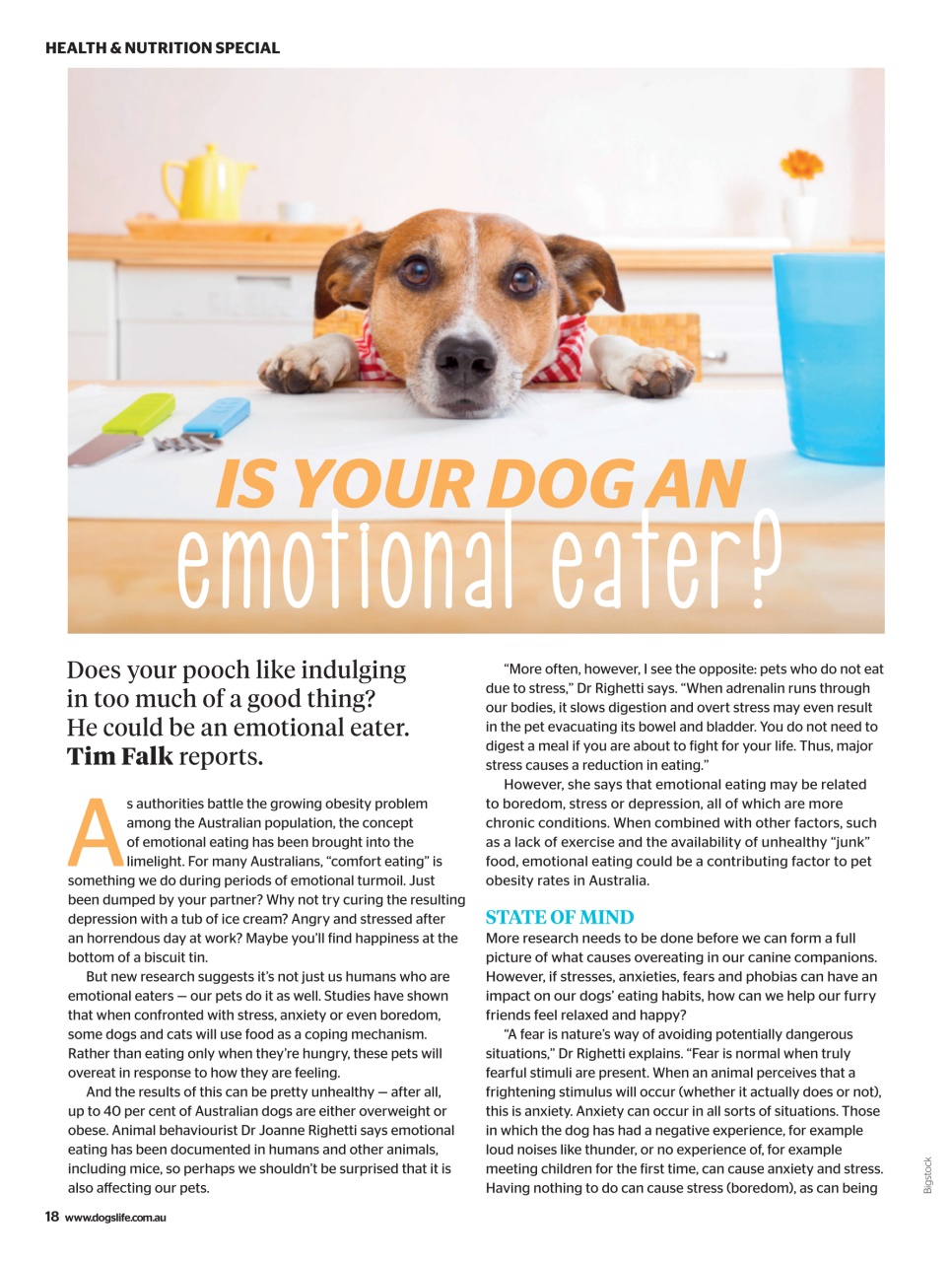 Dogs Life Preview Pages