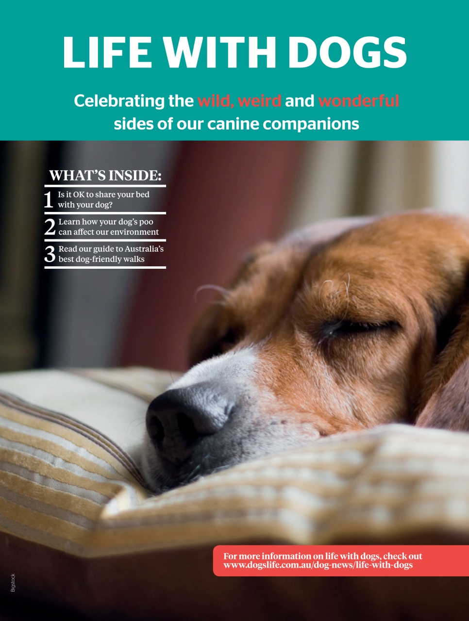 Dogs Life Preview Pages