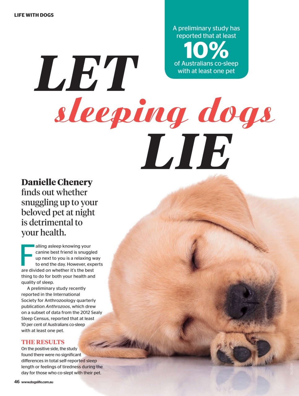 Dogs Life Preview Pages
