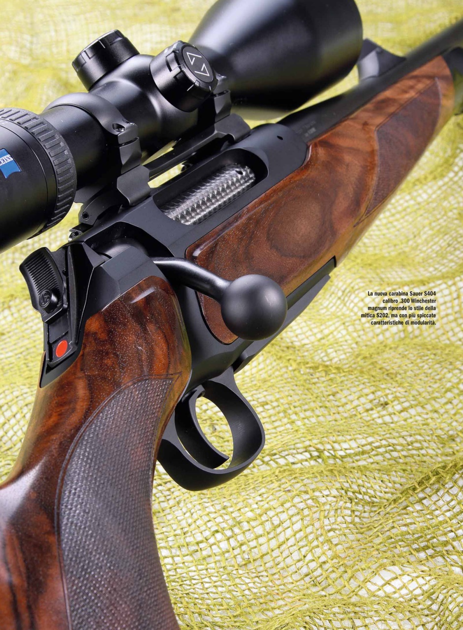 Armi E Tiro Preview Pages