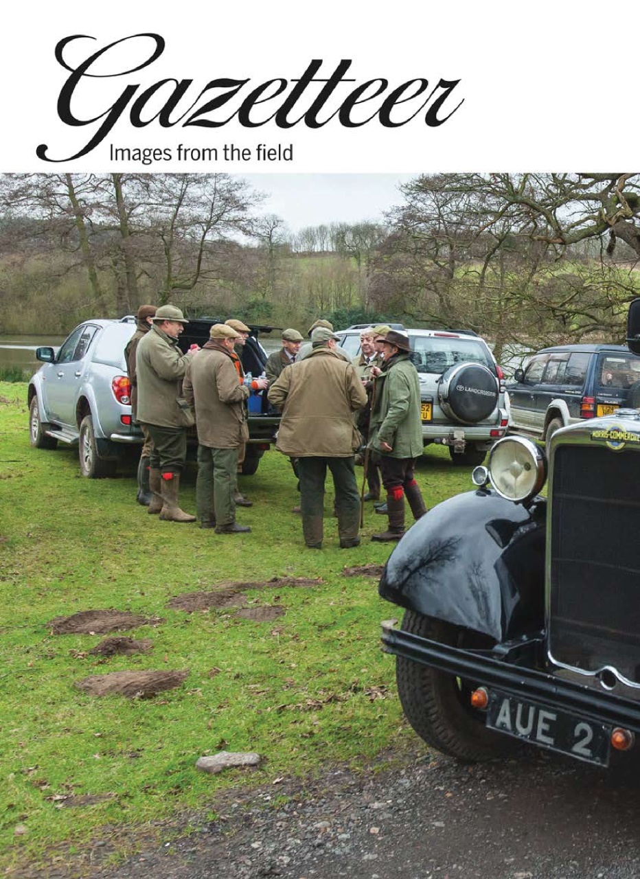 Shooting Gazette Preview Pages