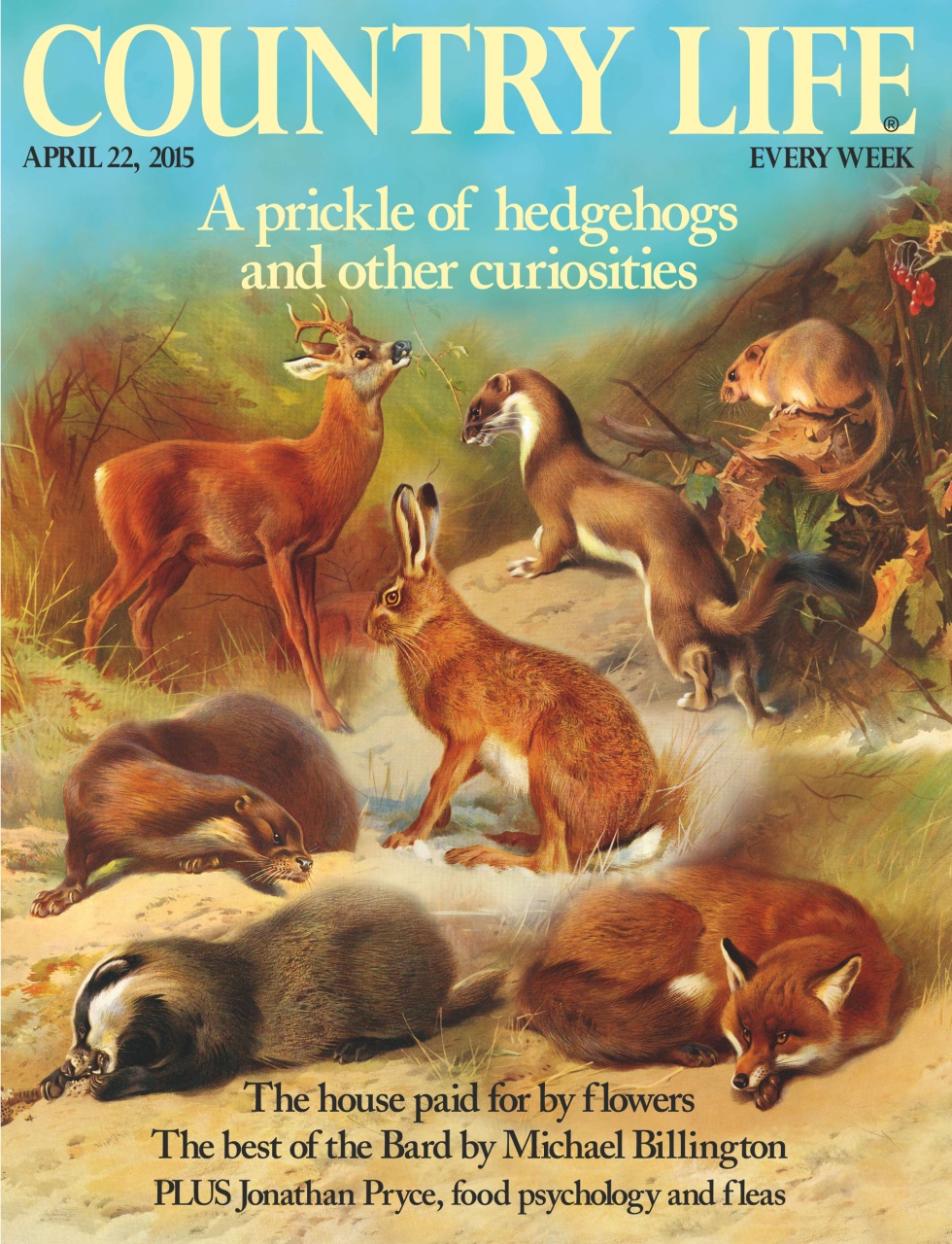 Country Life Preview Pages