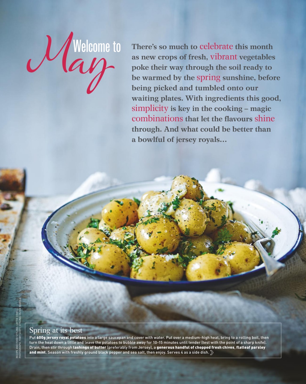 delicious. Magazine Preview Pages