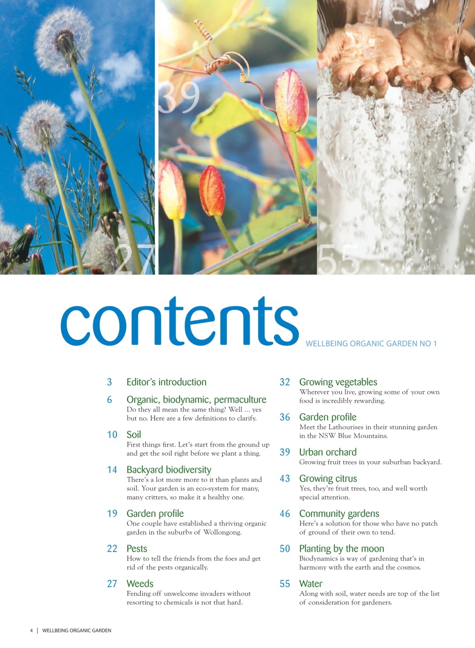 WellBeing For Life Preview Pages