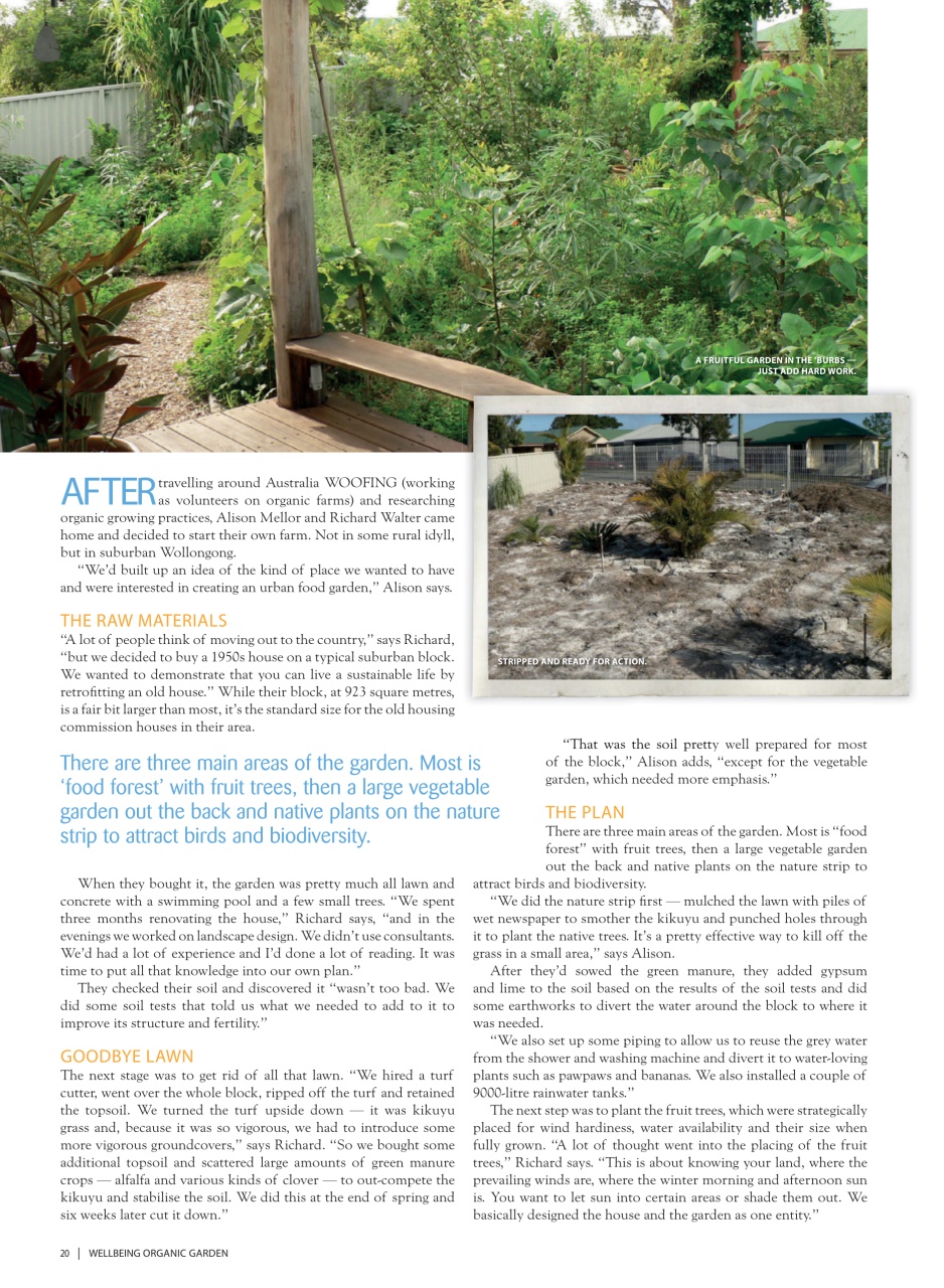 WellBeing For Life Preview Pages
