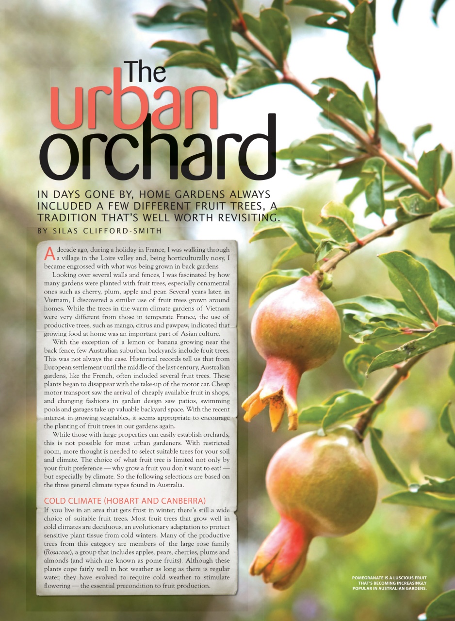 WellBeing For Life Preview Pages