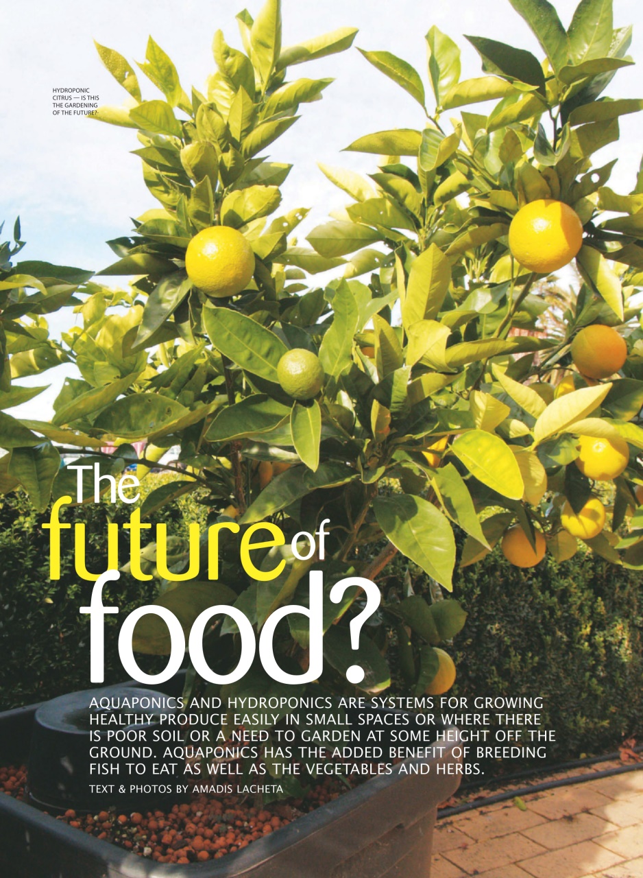 WellBeing For Life Preview Pages