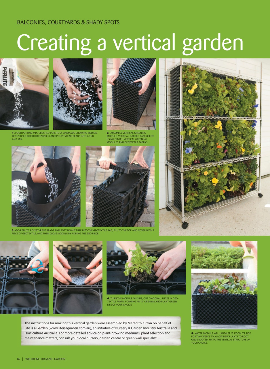 WellBeing For Life Preview Pages