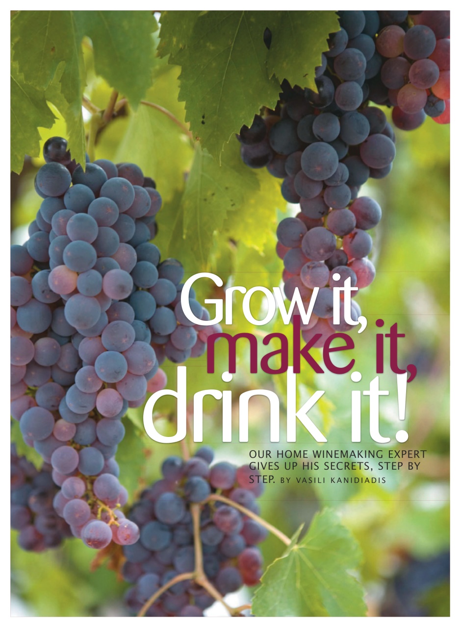 WellBeing For Life Preview Pages