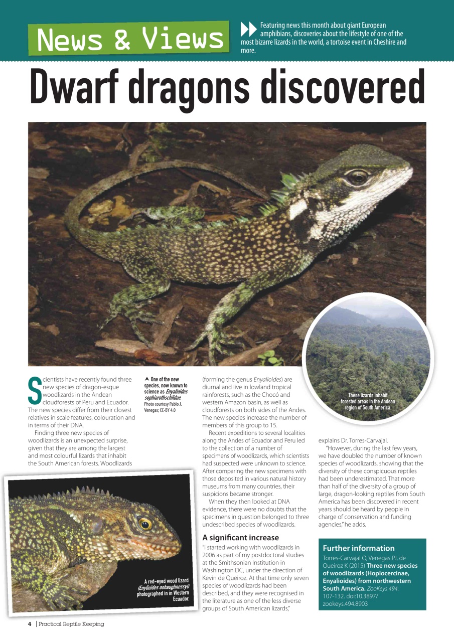 Practical Reptile Keeping Preview Pages