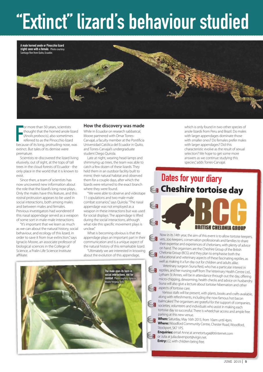 Practical Reptile Keeping Preview Pages