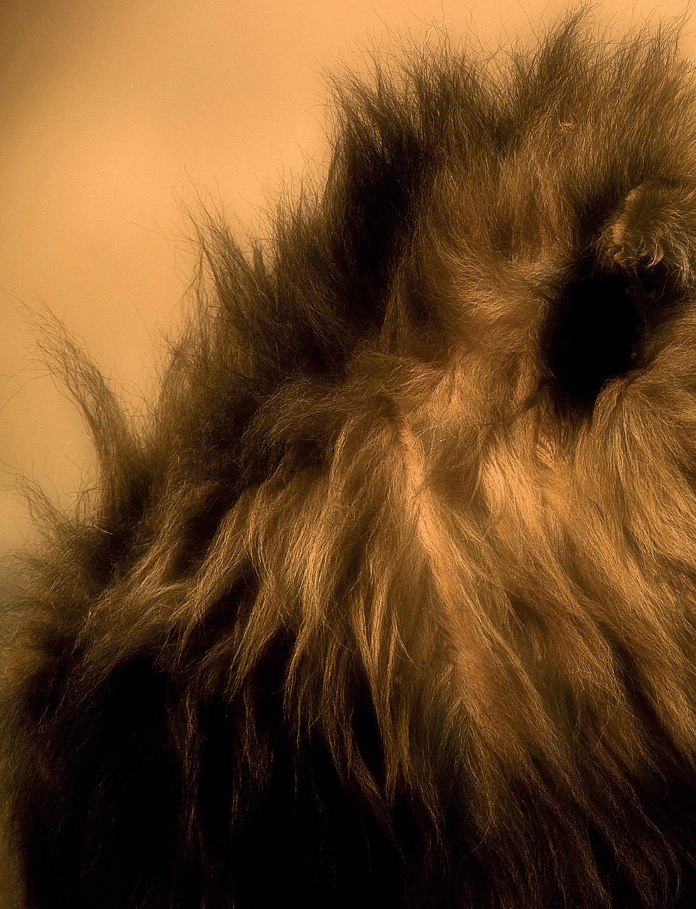 Outdoor Photography Preview Pages