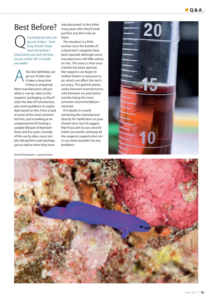 UltraMarine Magazine Preview Pages