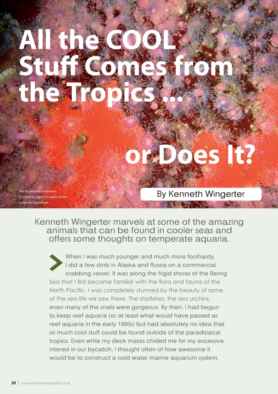 UltraMarine Magazine Preview Pages