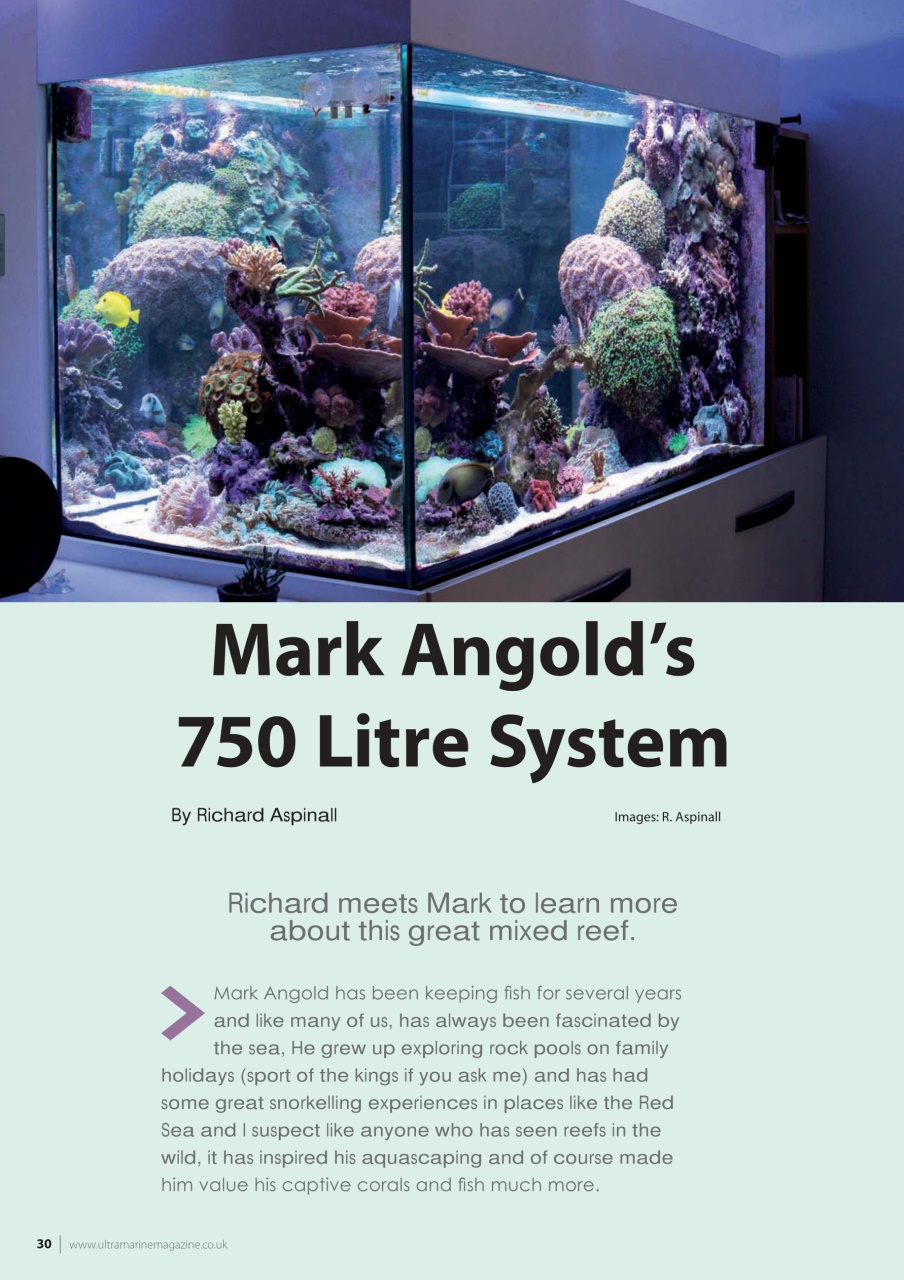 UltraMarine Magazine Preview Pages