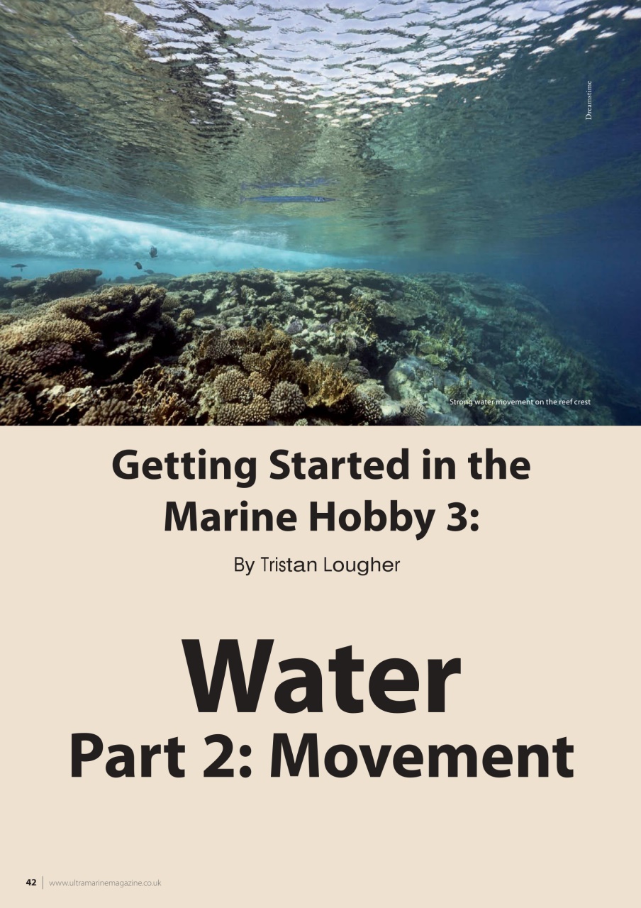 UltraMarine Magazine Preview Pages