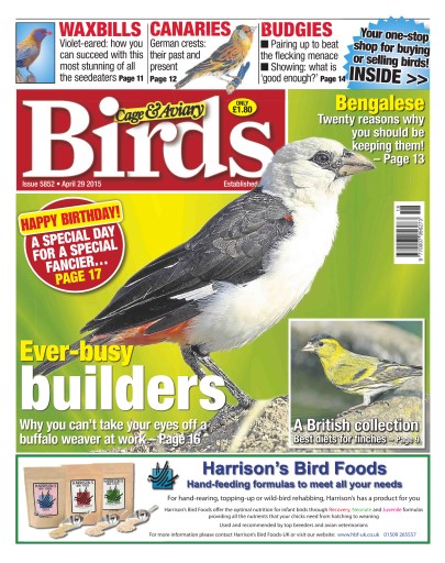 Cage & Aviary Birds issue 