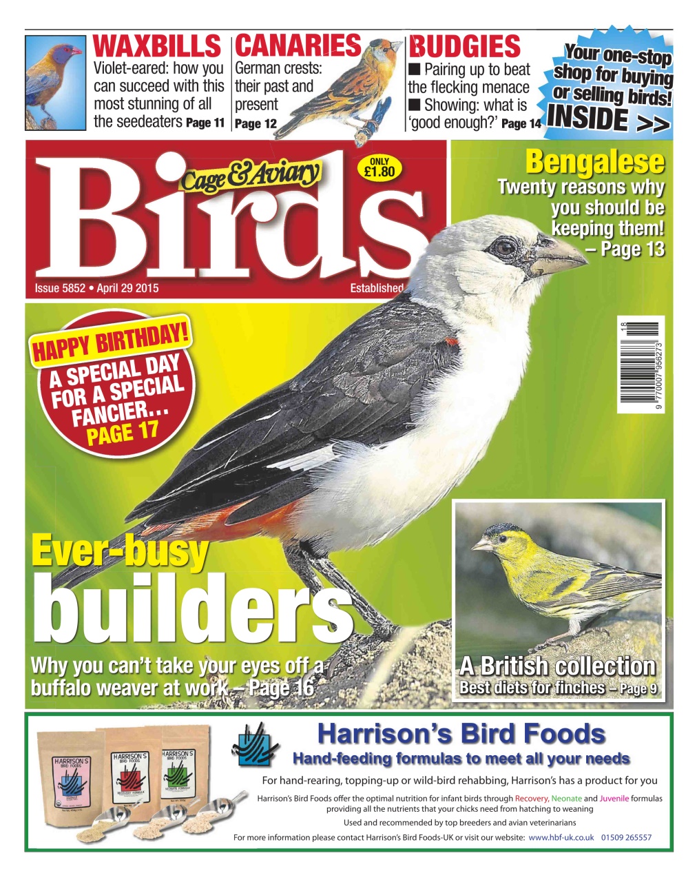 Cage & Aviary Birds Preview Pages