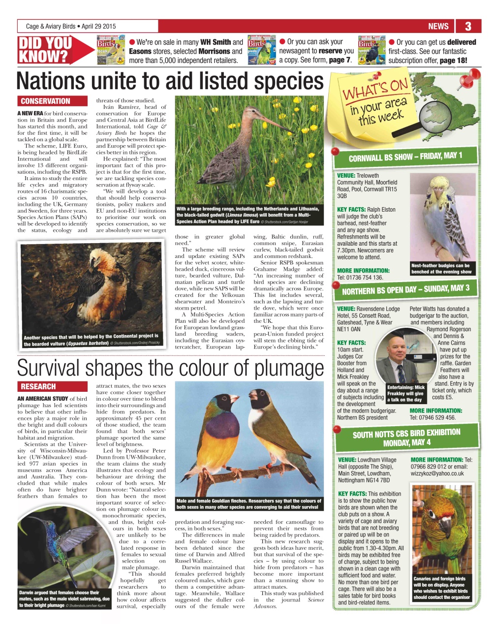 Cage & Aviary Birds Preview Pages
