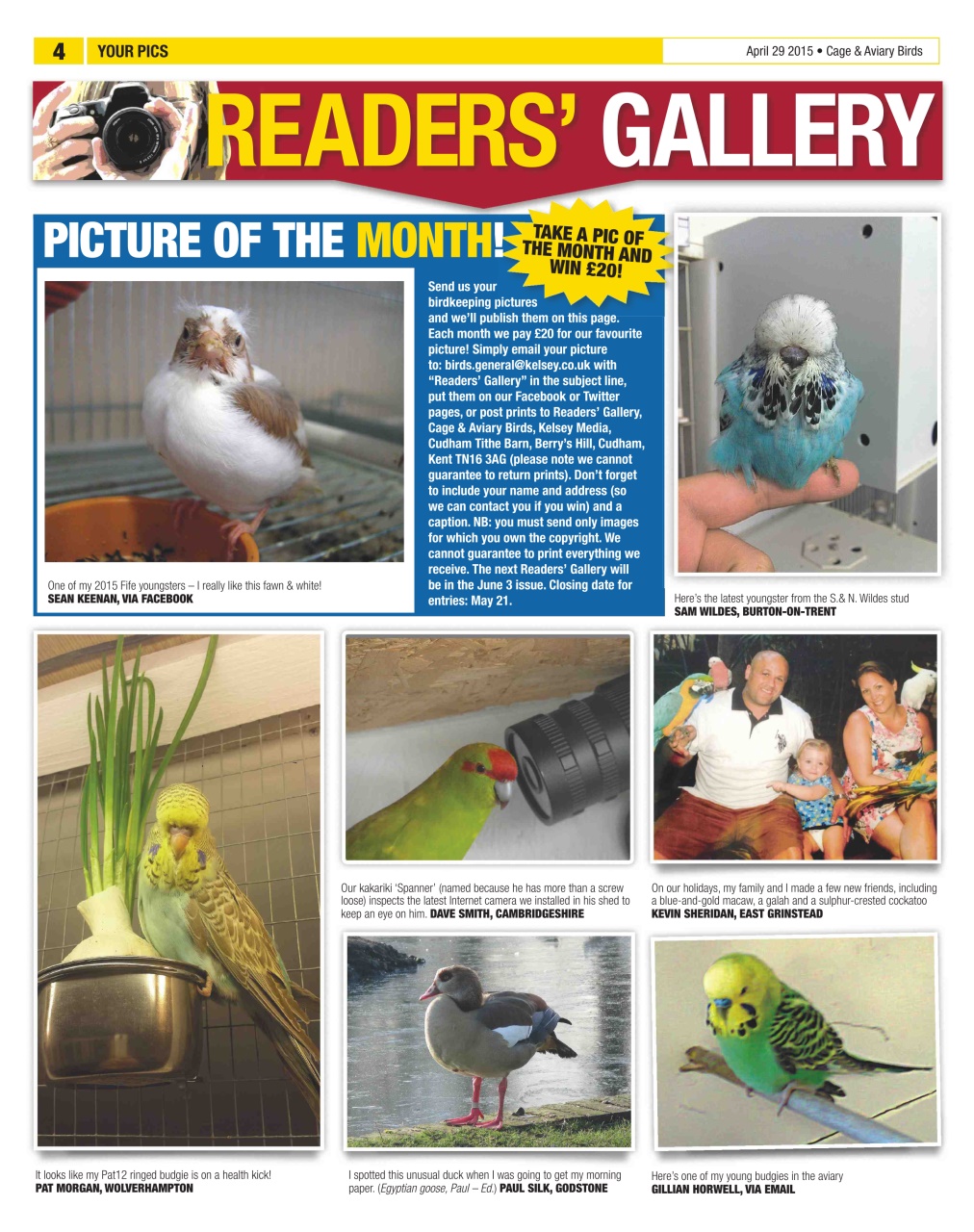 Cage & Aviary Birds Preview Pages