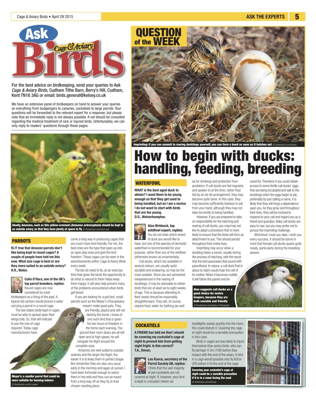 Cage & Aviary Birds Preview Pages