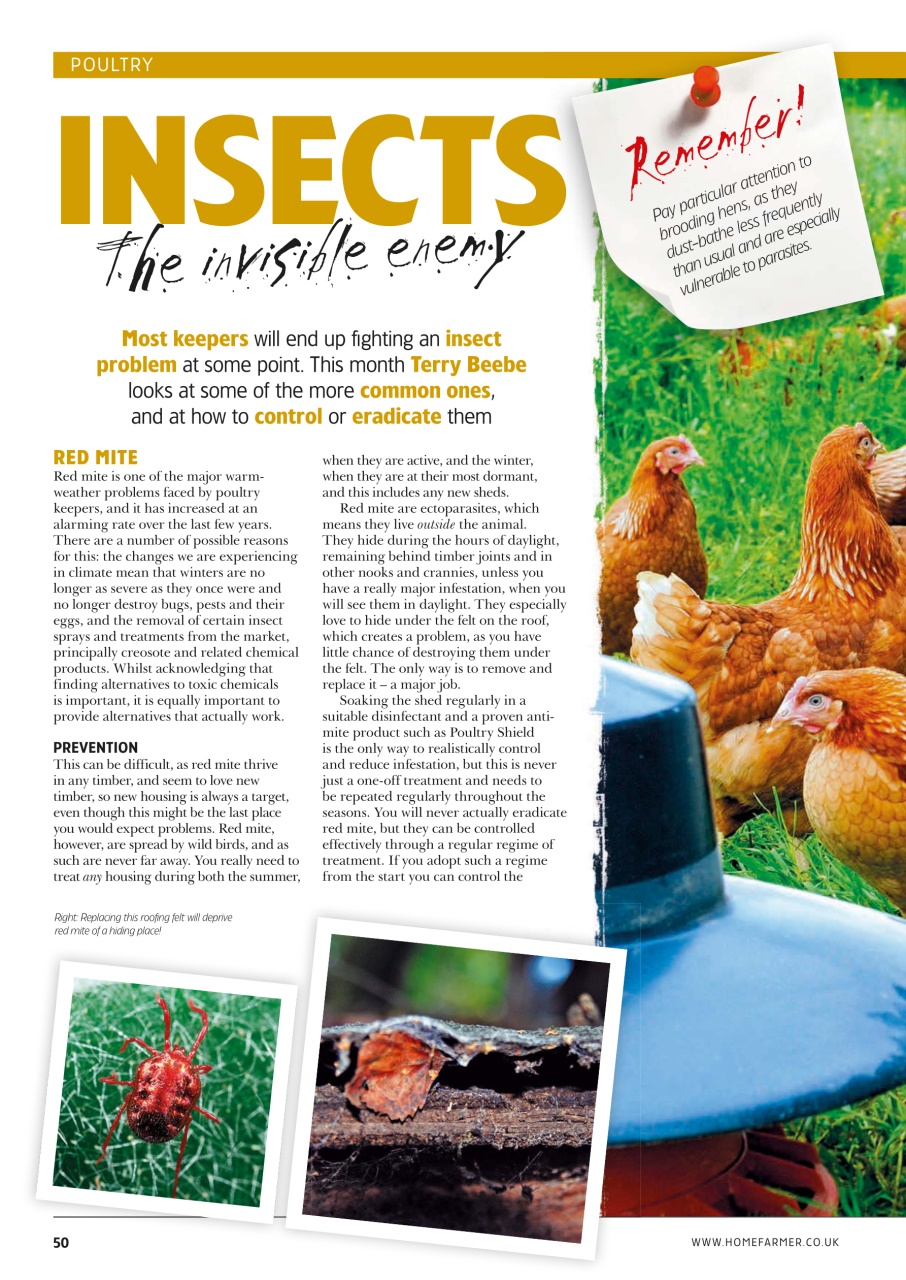 Home Farmer Magazine Preview Pages