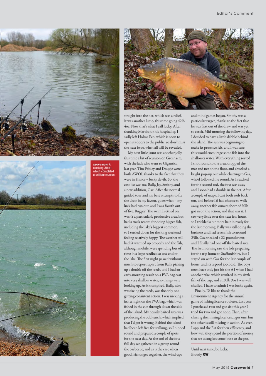 Carpworld Preview Pages