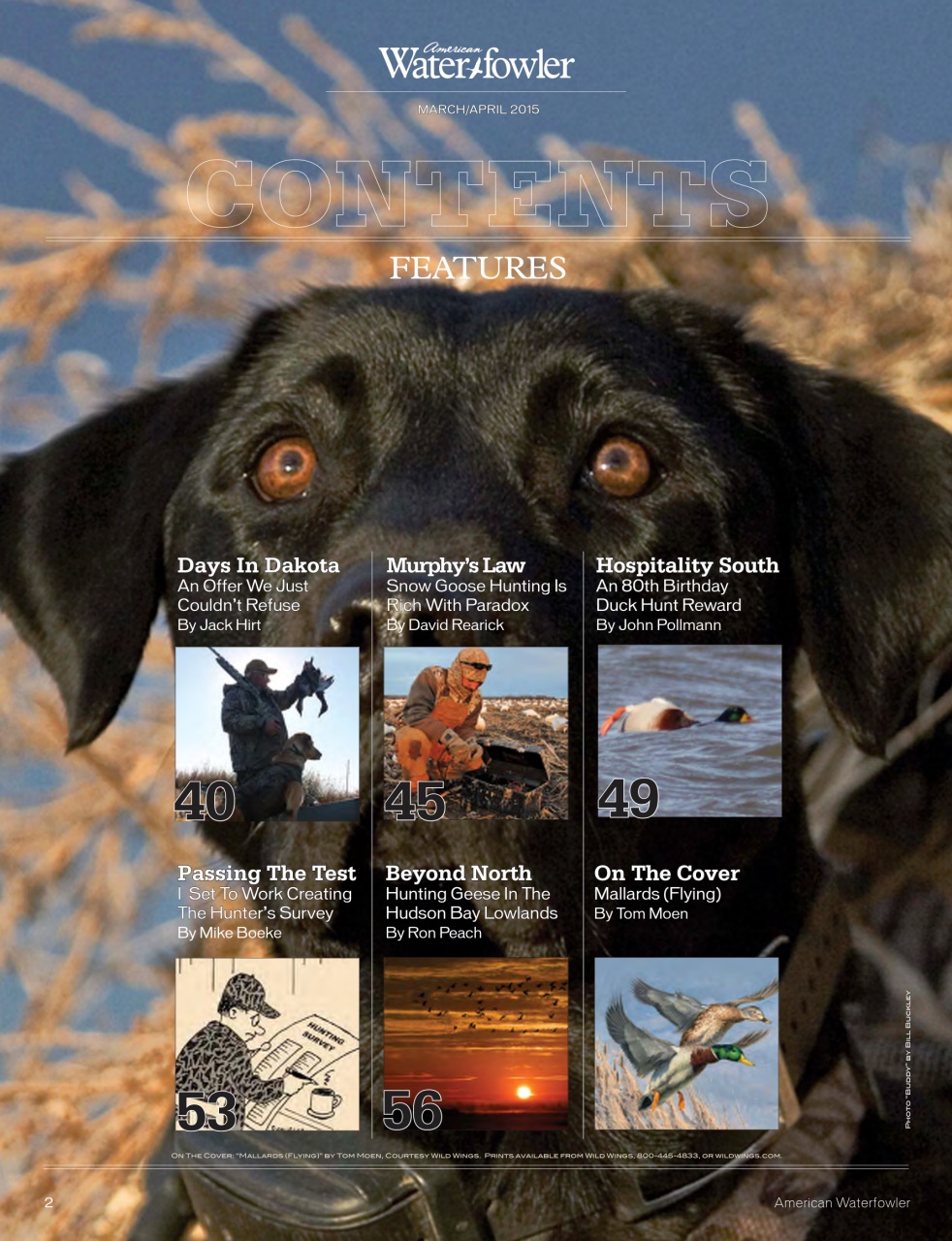 American Waterfowler Preview Pages