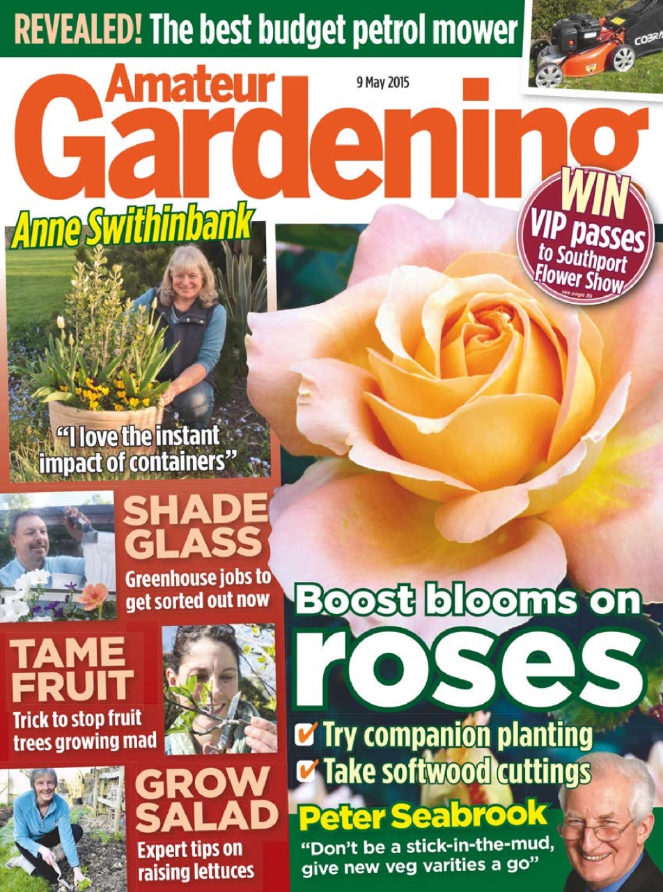 Amateur Gardening Preview Pages
