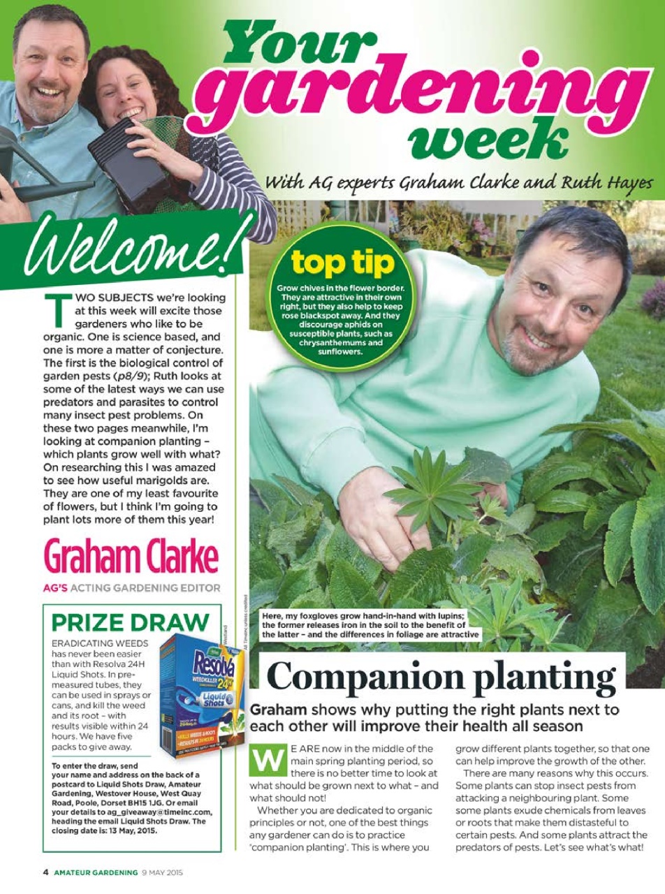 Amateur Gardening Preview Pages