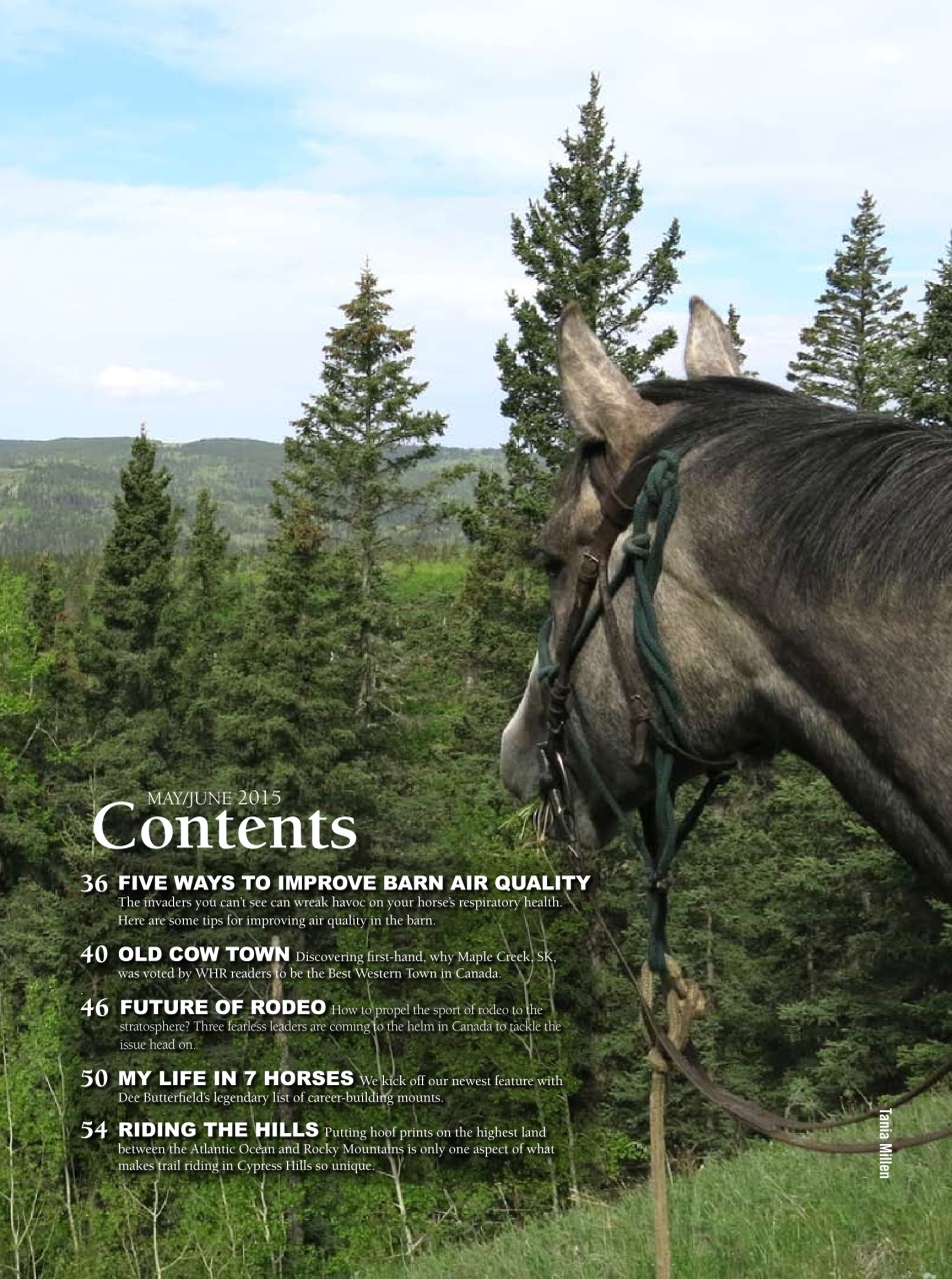 Western Horse Review Preview Pages
