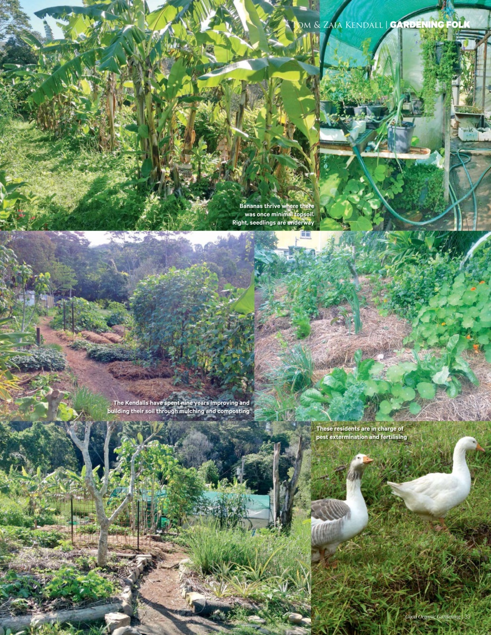 Good Organic Gardening Preview Pages