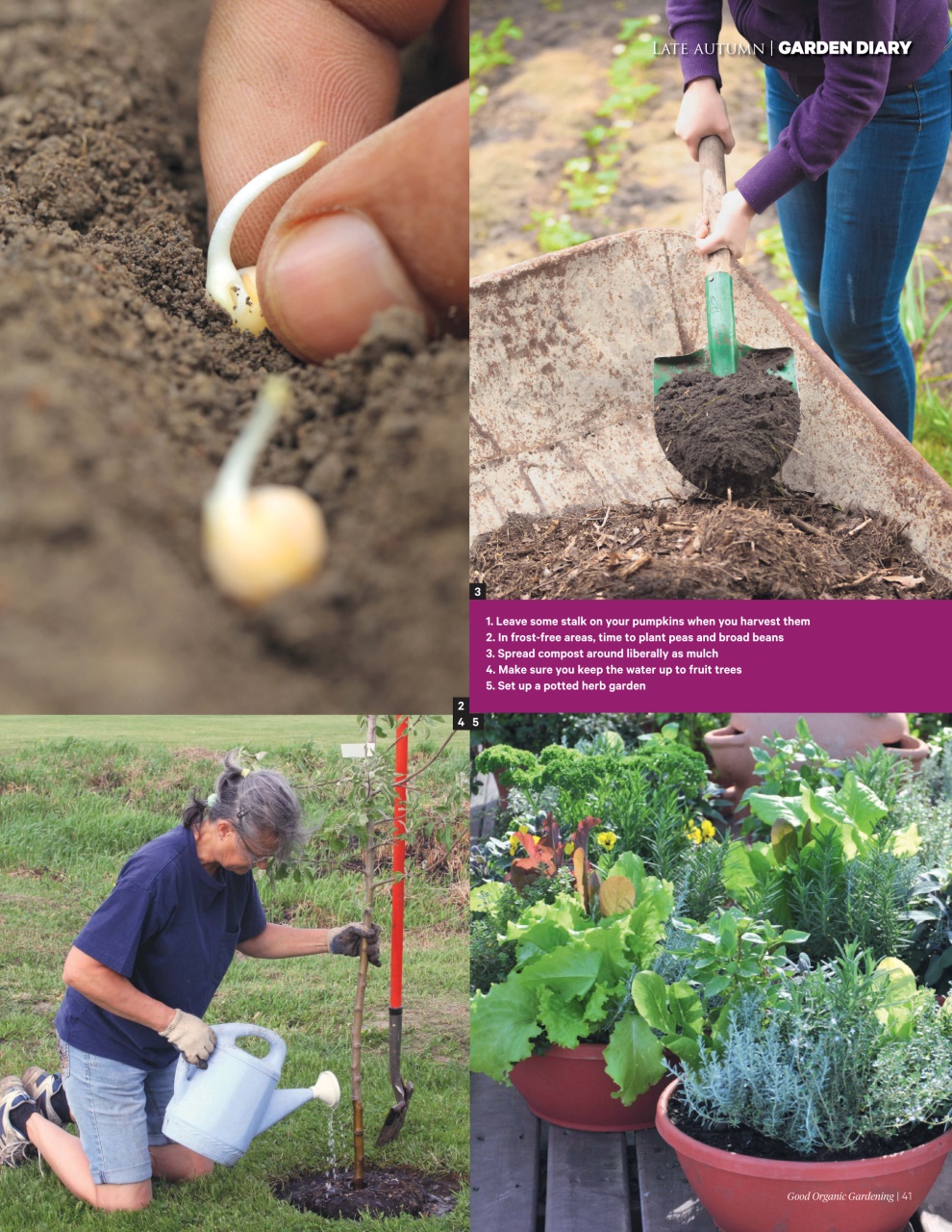 Good Organic Gardening Preview Pages