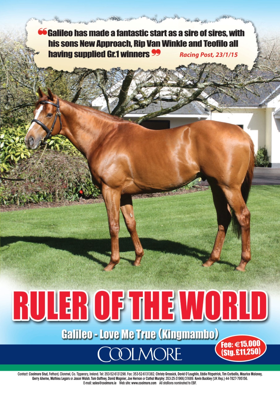 The Owner Breeder Preview Pages