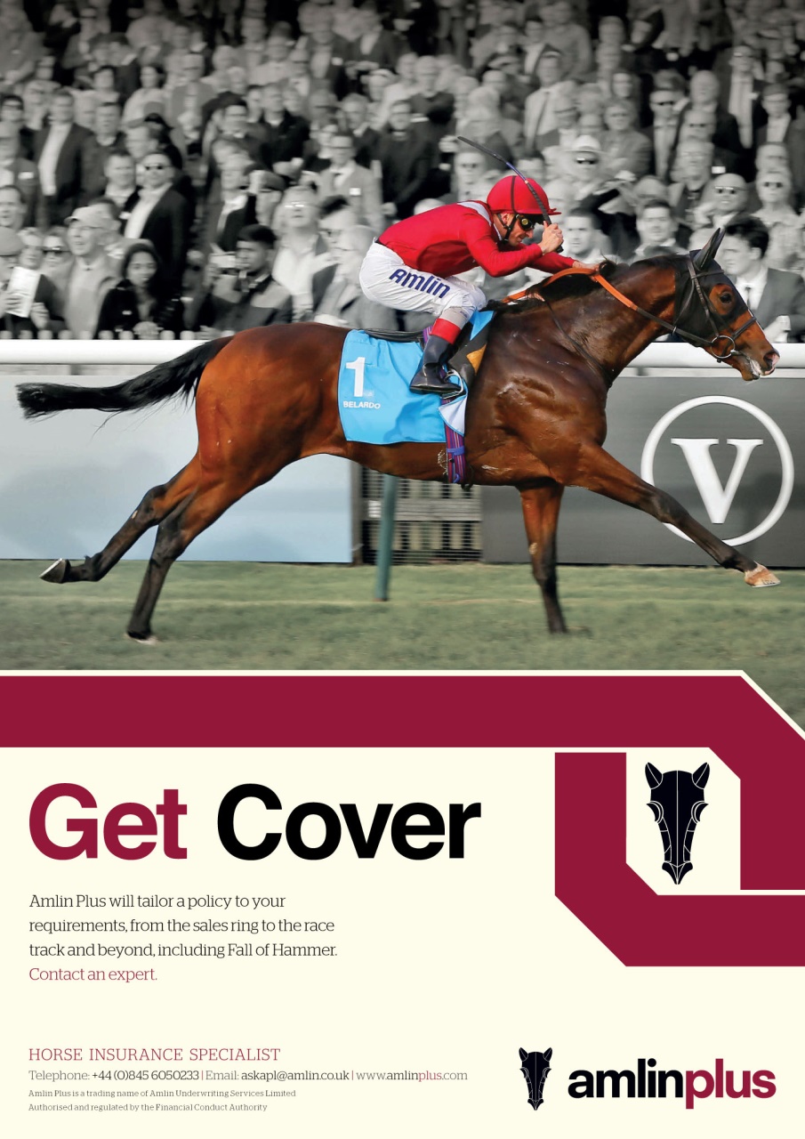 The Owner Breeder Preview Pages