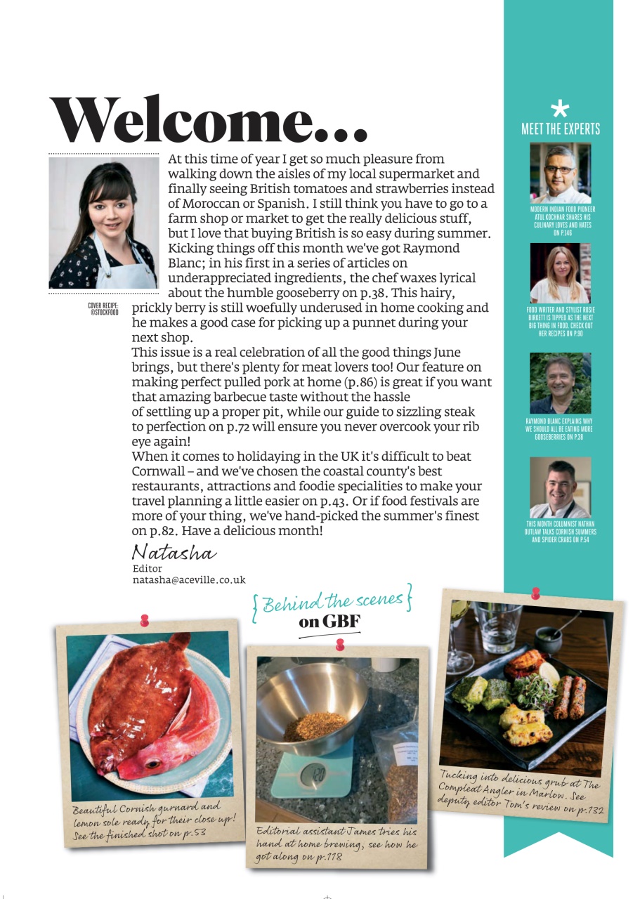 Great British Food Preview Pages