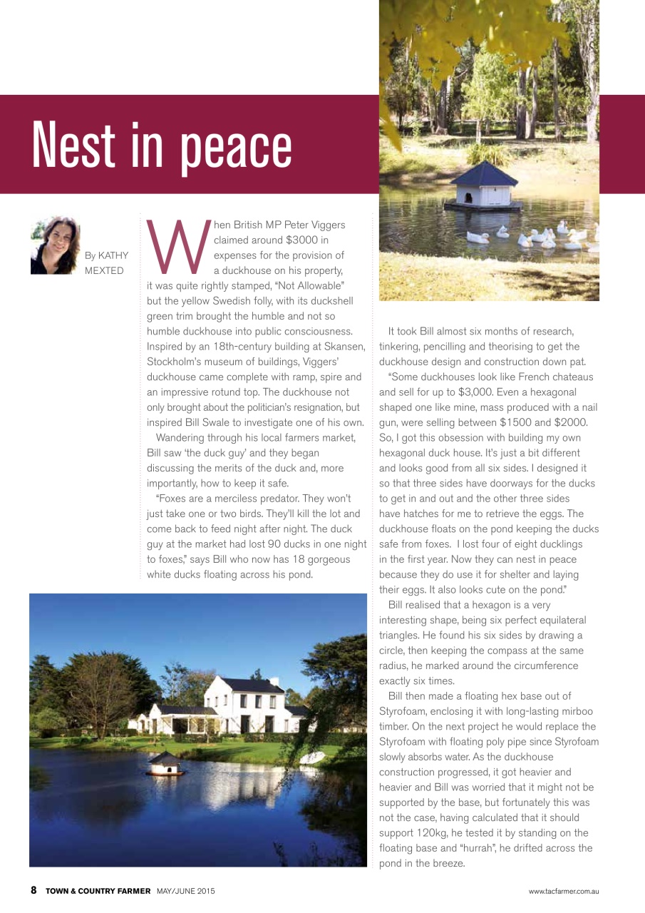 Town And Country Farmer Preview Pages