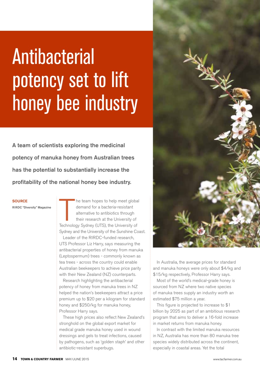 Town And Country Farmer Preview Pages