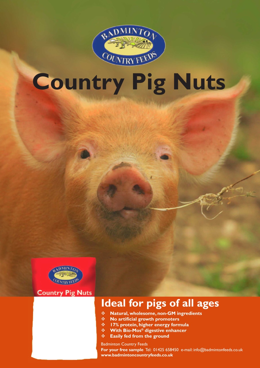 Practical Pigs Preview Pages