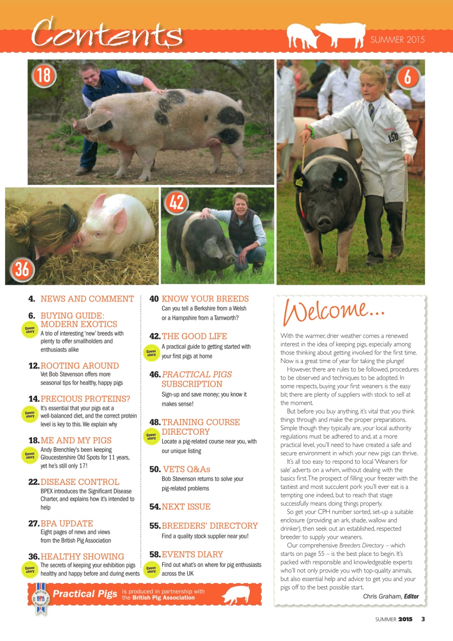 Practical Pigs Preview Pages