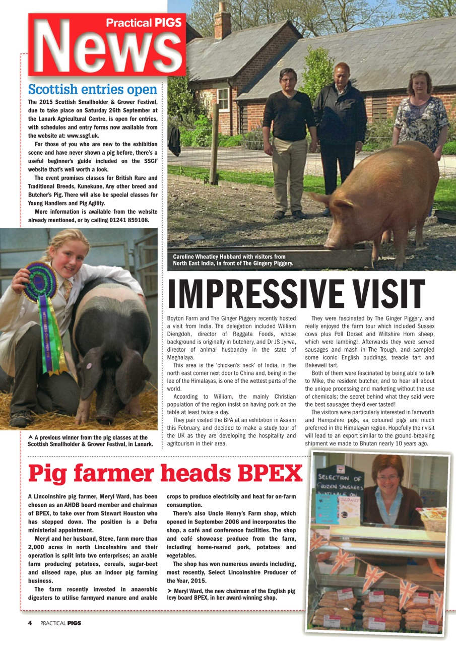 Practical Pigs Preview Pages