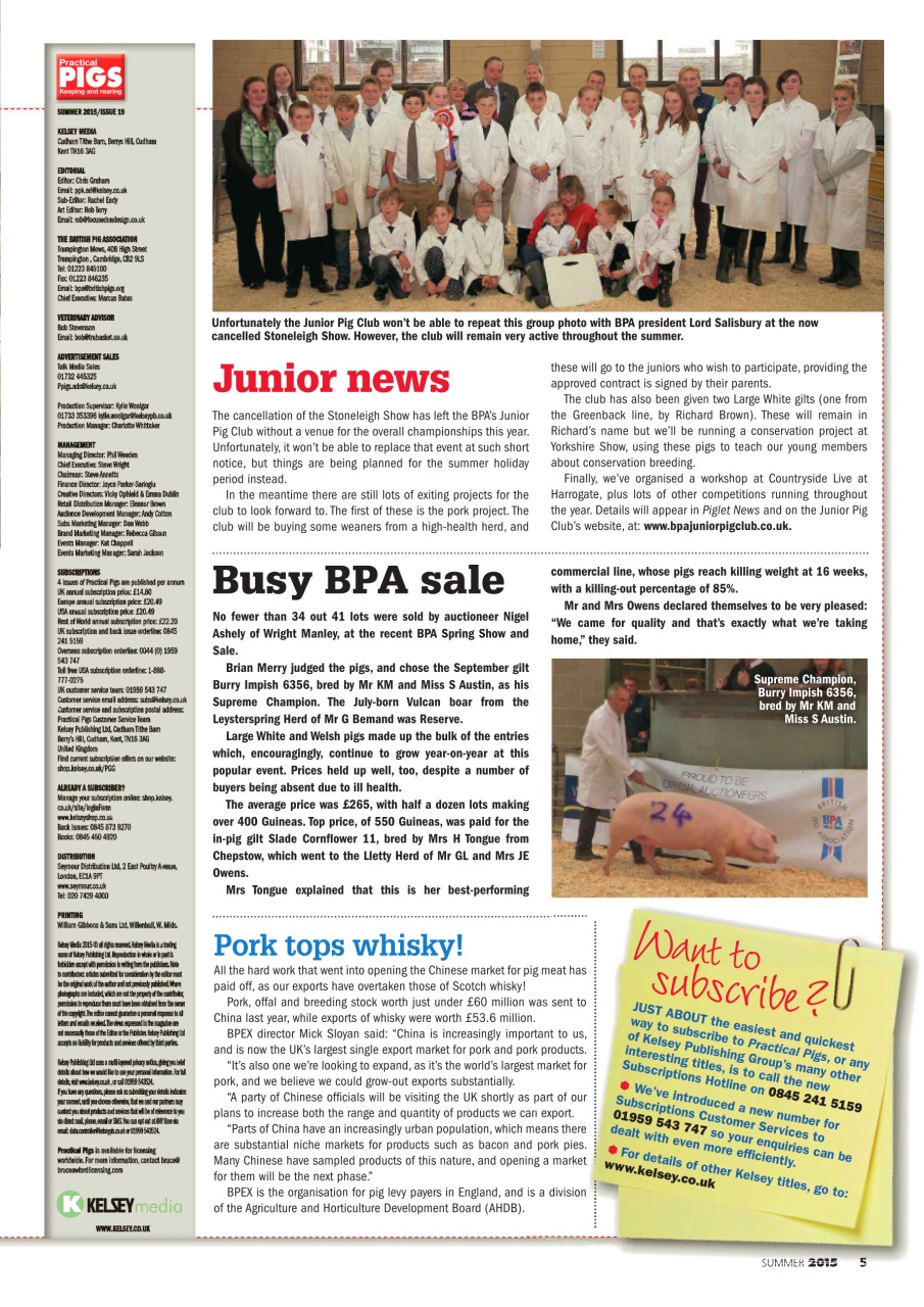 Practical Pigs Preview Pages