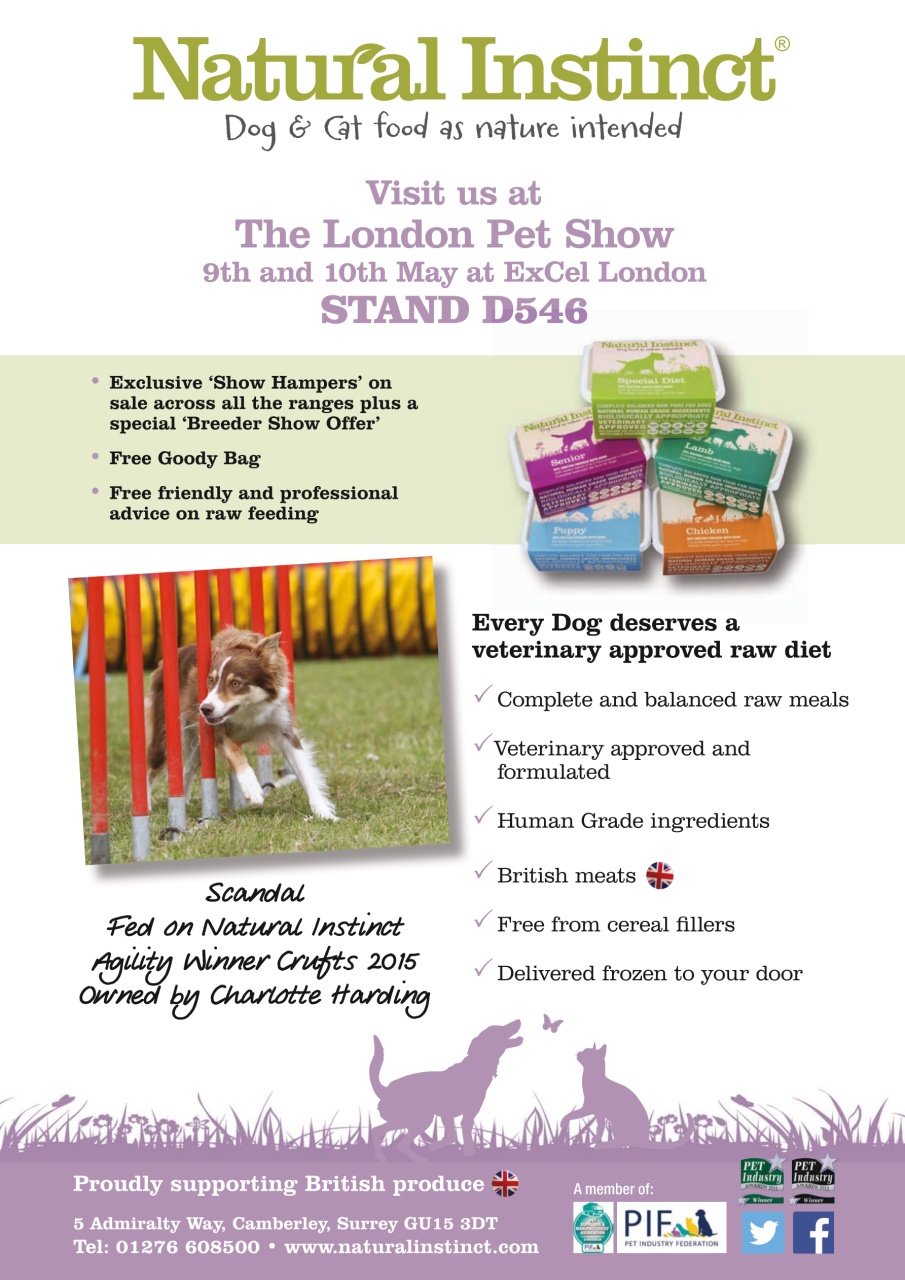 Dogs Monthly Preview Pages