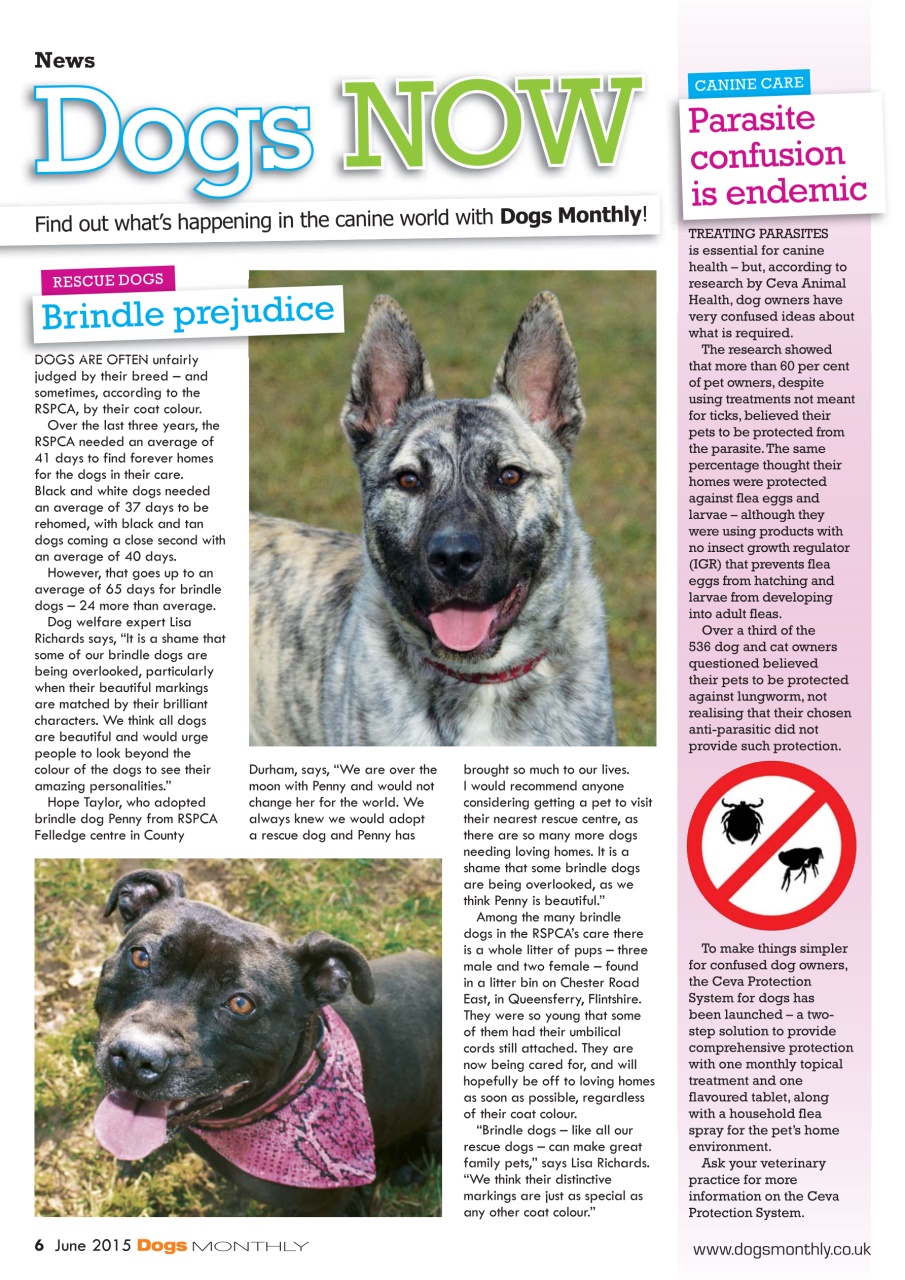 Dogs Monthly Preview Pages