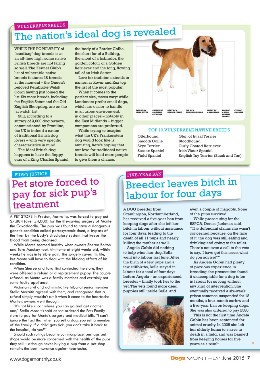 Dogs Monthly Preview Pages